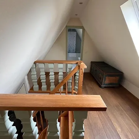 Zum Goldenen Hirsch Appartement