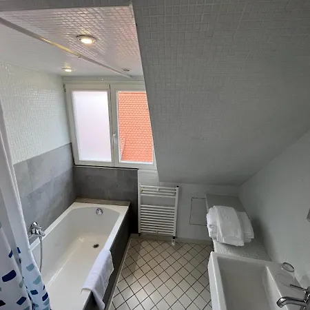 Zum Goldenen Hirsch Appartement *