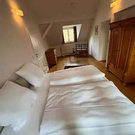 Zum Goldenen Hirsch Apartment